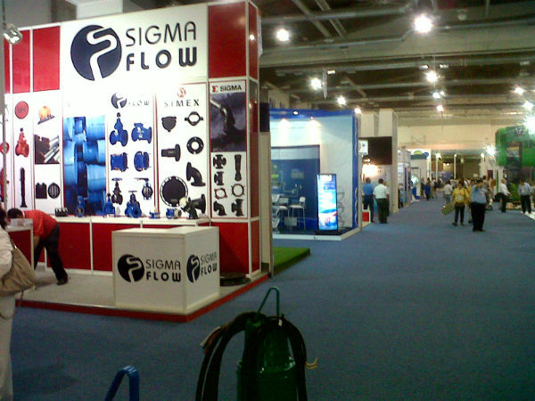 expo-aneas-3.jpg