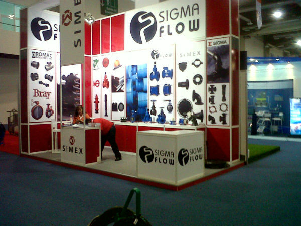 expo-aneas-5.jpg