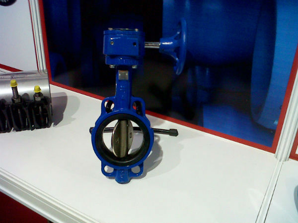 expo-aneas-8.jpg
